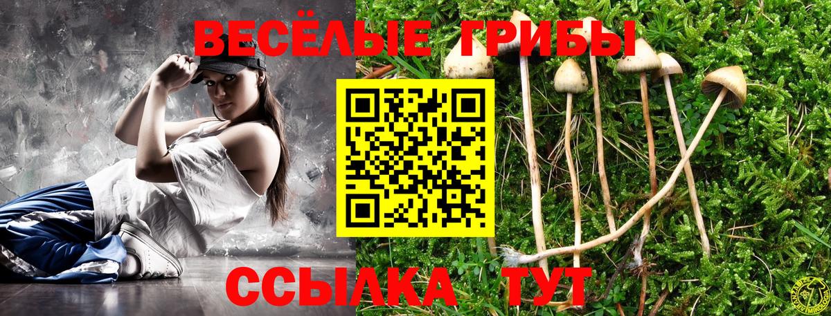 Северобайкальск  Псилоцибиновые грибы Psilocybine cubensis  Псилоцибиновые грибы Magic Shrooms  Вход с VPN 